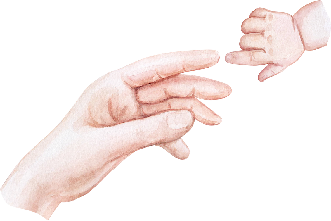 Realistic Illustration of the Hands of a Mother and Baby